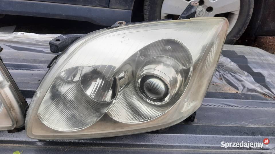 lampa prawa lewa Toyota Avensis t25 przed lift Dębno sprzedam