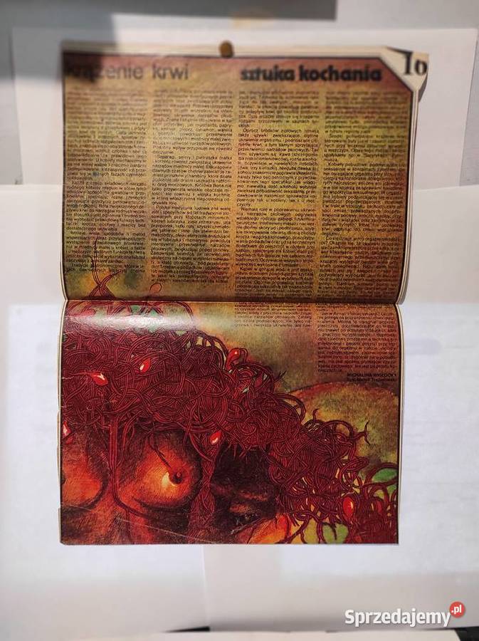 SZTUKA KOCHANIA MICHALINA WISLOCKA ARTYKULY dolnośląskie