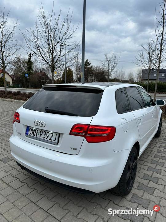 Audi a3 8p 20 białe Kobierzyce