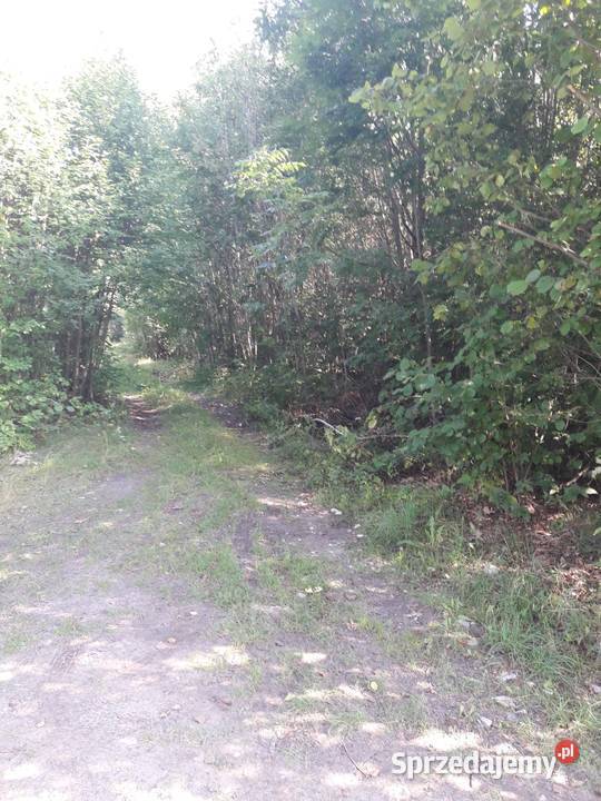 Dzialka rolna z warunkami zabudowy Zabłudów-Kolonia