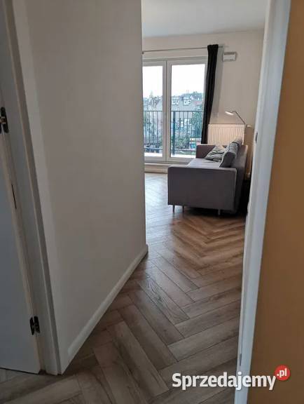 2pok 38met Łowieckiej TARASWINDA2019 Wrocław dolnośląskie