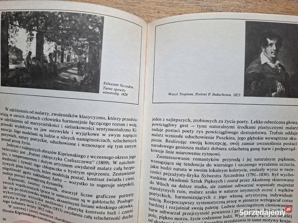Galeria Tretiakowska Petersburg Rosja Książki naukowe i popularnonaukowe Kraków