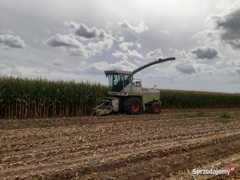 Claas jaguar 682 sl kujawsko-pomorskie