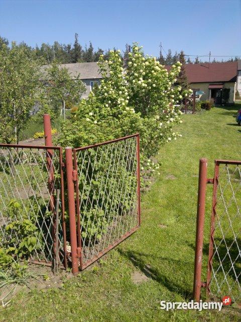 Dwa domy wolnostojące Jura Krakowsko Częstochows wolnostojący śląskie sprzedam