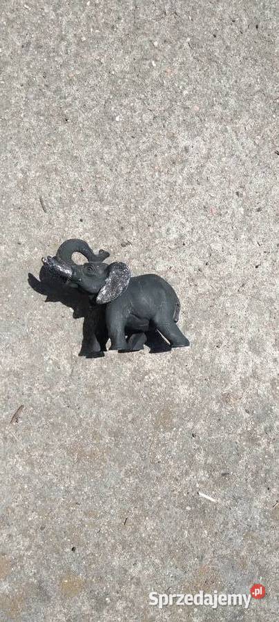 Słonik na szczęście Koło