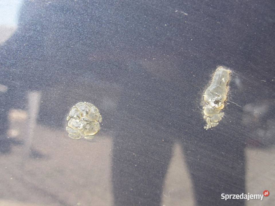 FORD MONDEO MK4 IV 10r maska