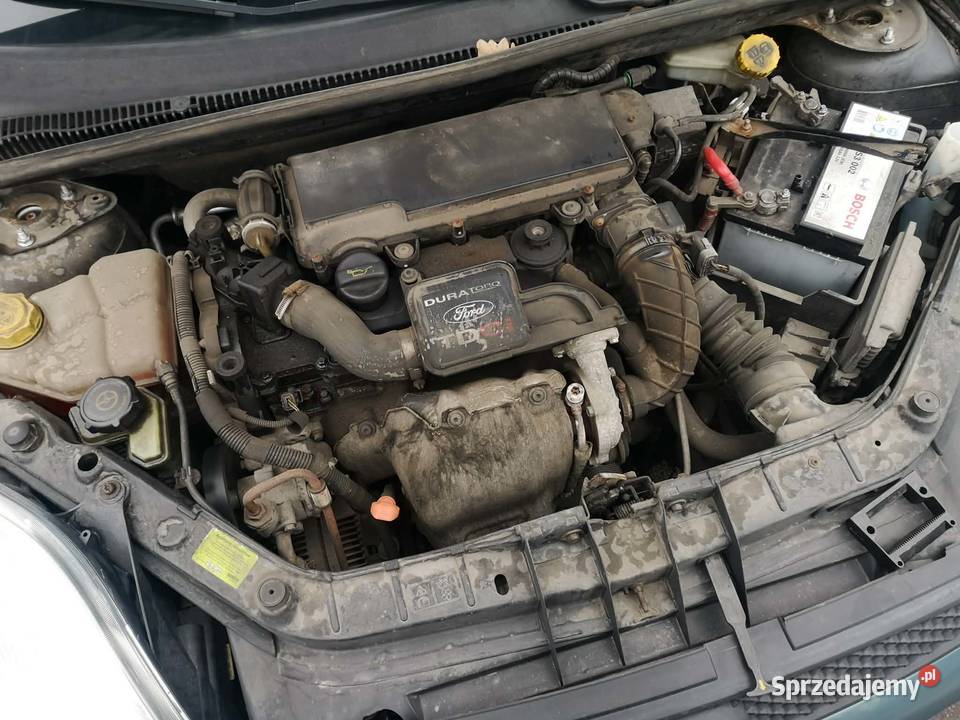 Ford Fiesta 14TDCI Opony Wielosezonowe