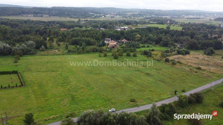 Grunt sprzedam 2000 metrów Krzeczów asfalt