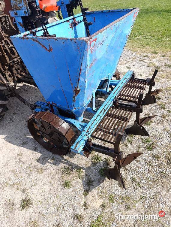 Sadzarka do ziemniaków Polska