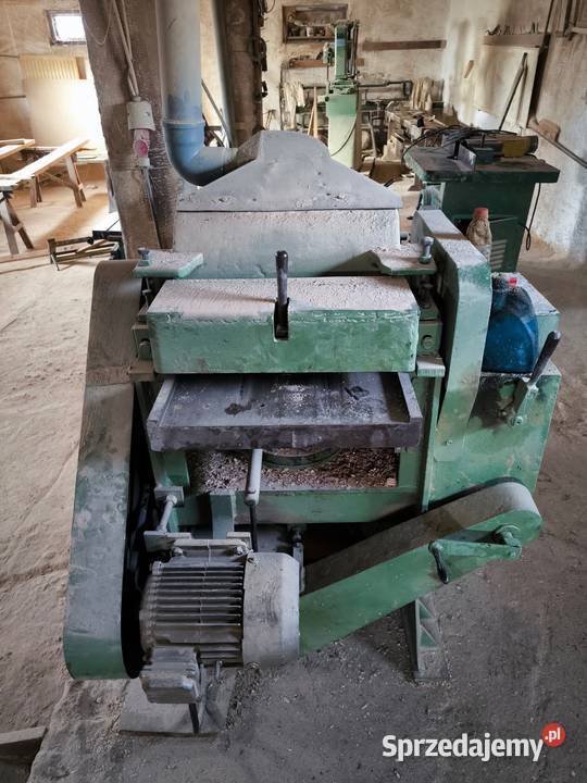 Grubosciowka heblarka Mońki