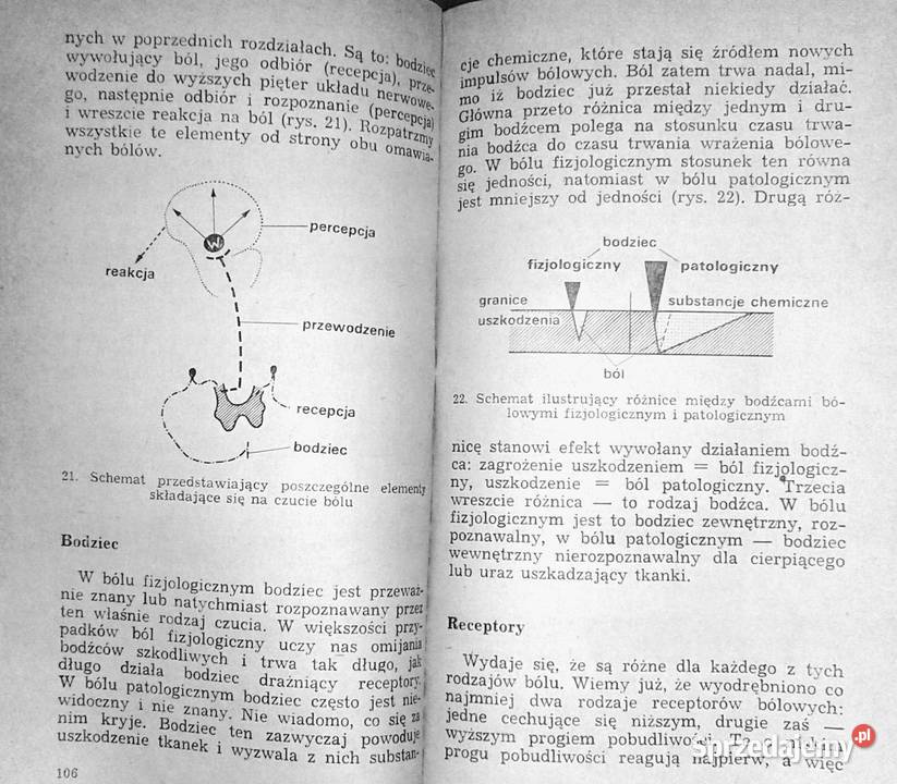 Ból Teofan Maria Domżał Rok wydania 1983 Pozostałe Chełm