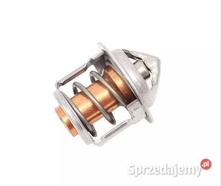 Termostat Minikoparka JCB 80148020 02630591