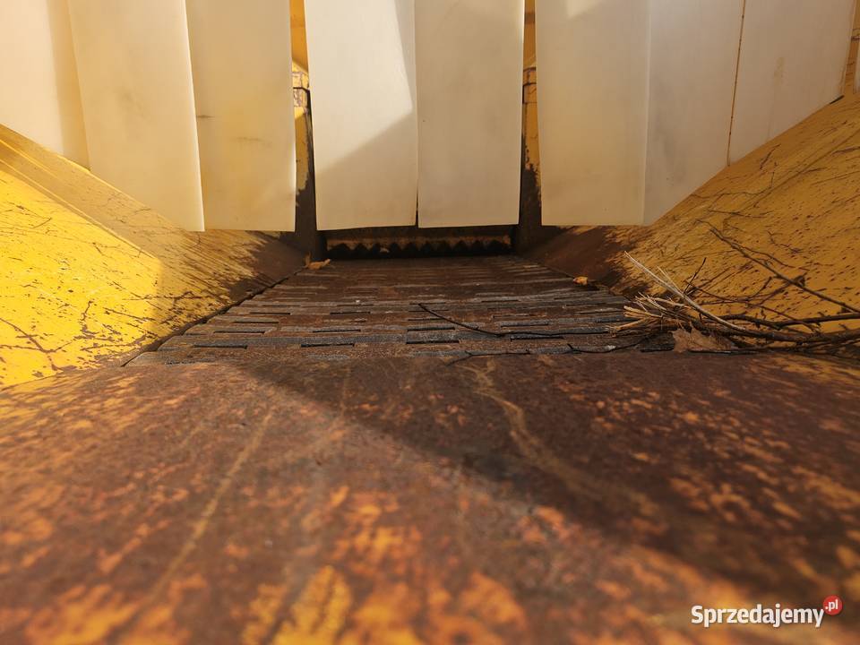 rębak do gałęzi SAELEN COBRA 65 DRI 64 Wiele sprzedam