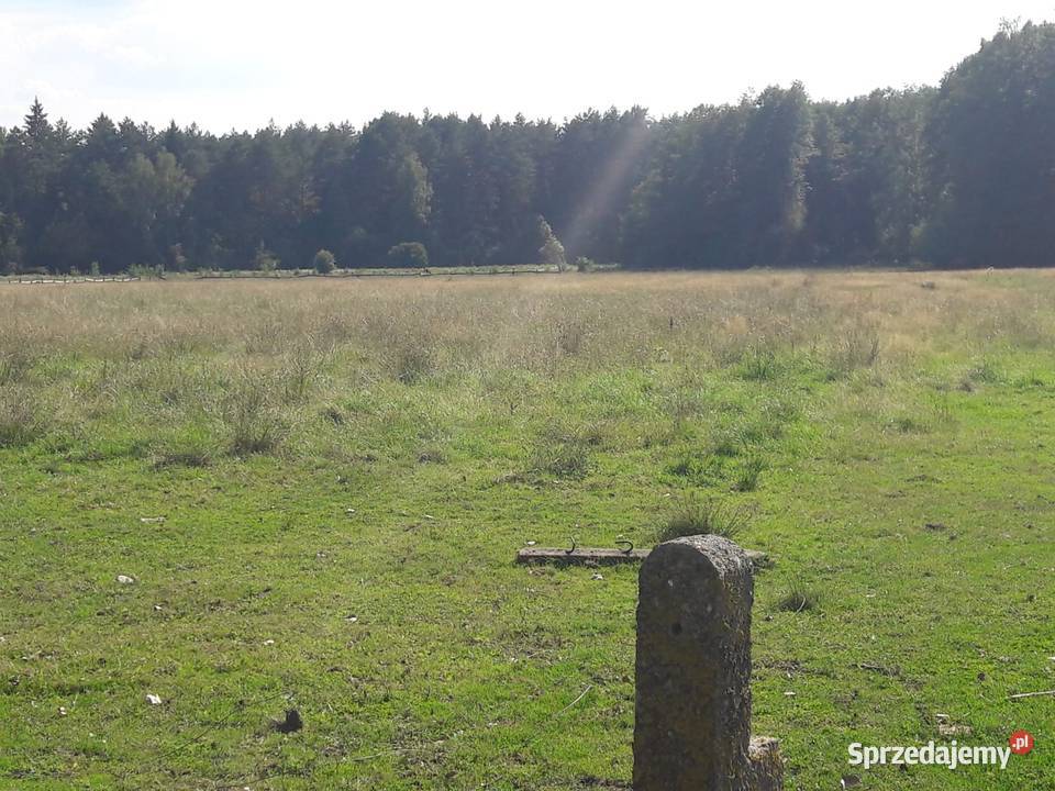 Dzialka rolna z warunkami zabudowy Zabłudów-Kolonia