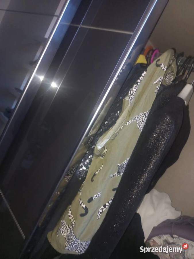 Szafa szklane drzwi przesowna lustro 27022860 śląskie