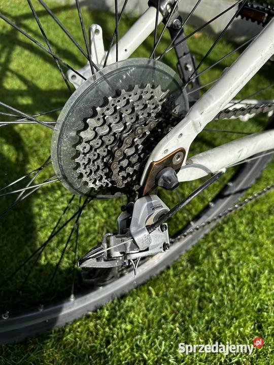 Rower sportowy Velo de Ville