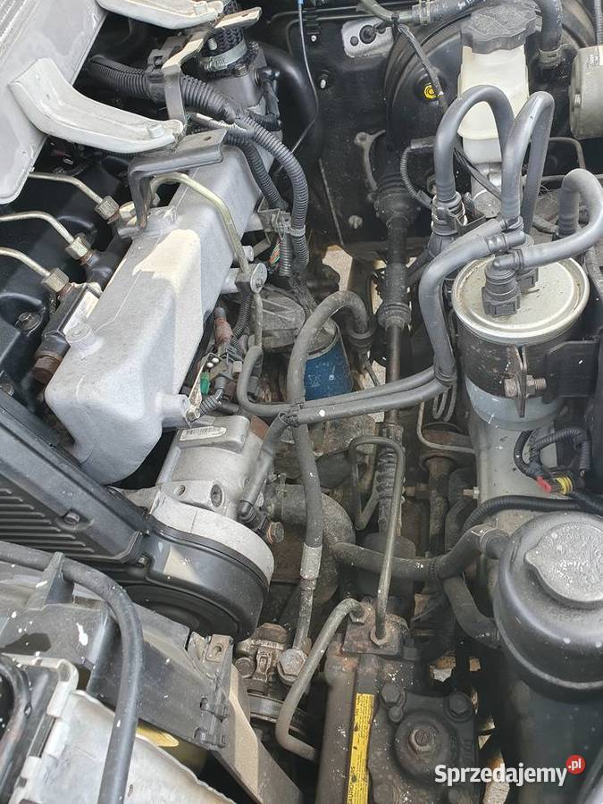 Hyundai Terracan 29 CRDi 2003 Ironman Lift dużym 2900cm3 podkarpackie Lesko