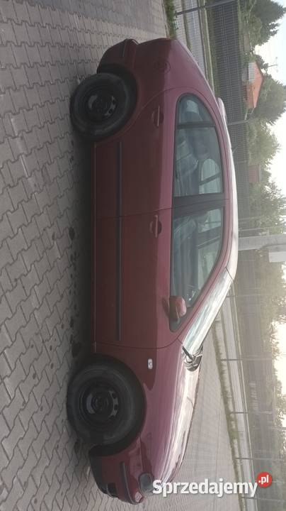 Seat leon Iława