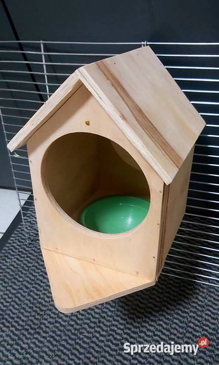 gpłągka diMENTOWEGO I INNE Rybnik