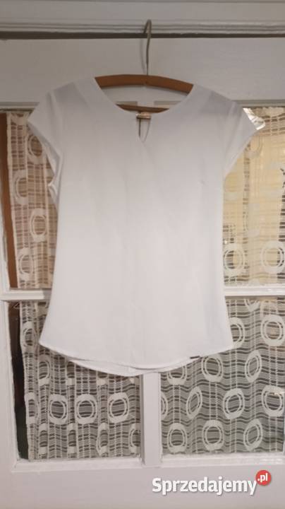 Odzież damska kolorowy