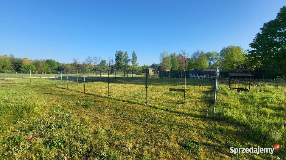 Działka rekreacyjna w parku Alfred Sprzedaż Czeladź