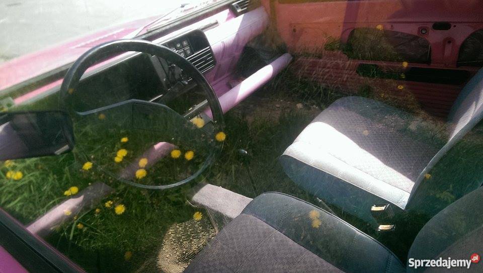 Fiat Panda 750 PINK Błażowa