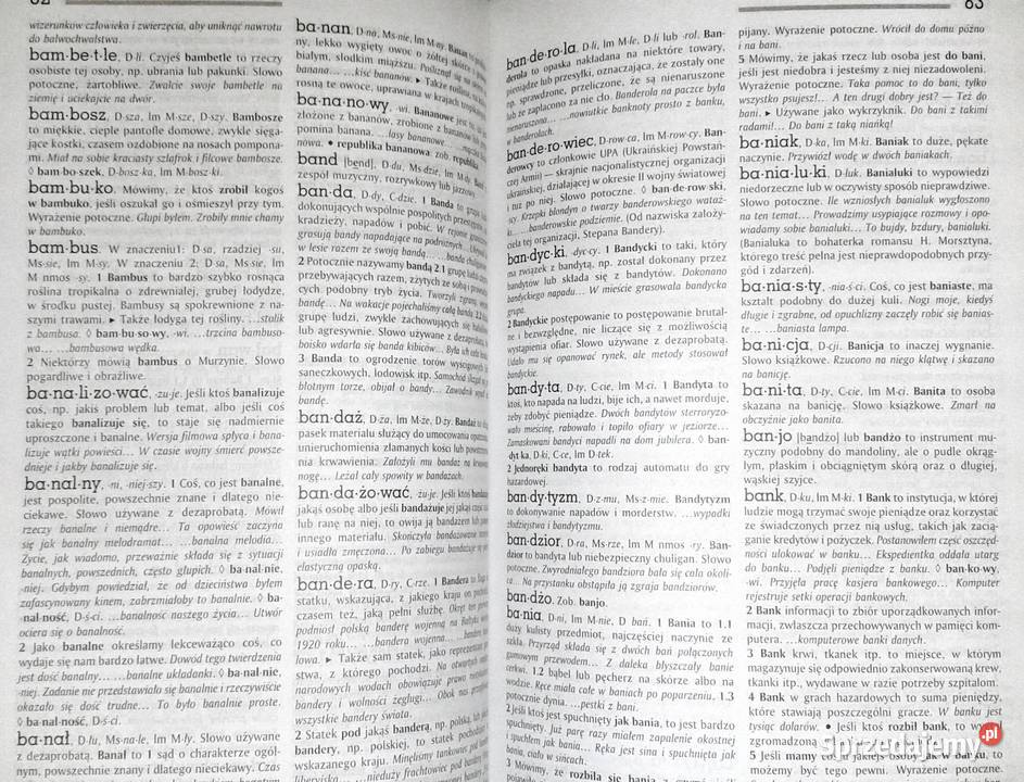 Słownik języka polskiego AGar Tom 1 Chełm