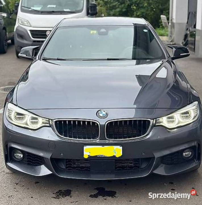 BMW F20 F22 F30 F31 F32 F33 F34 F36 435i Dyfer osobowe Skawina