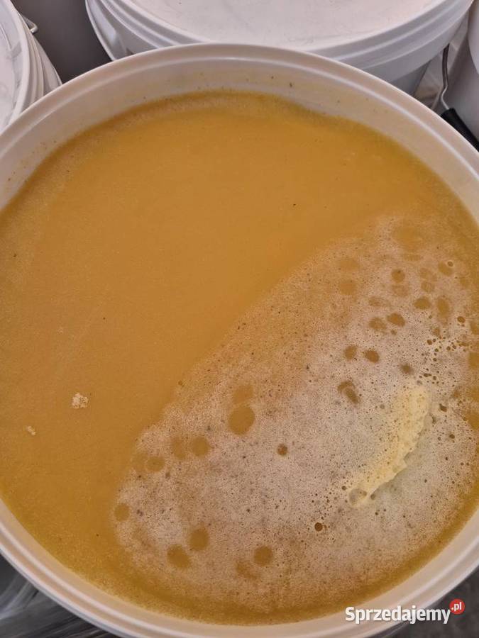 Miód Wielokwiatowy ze słonecznikiem sprzedam