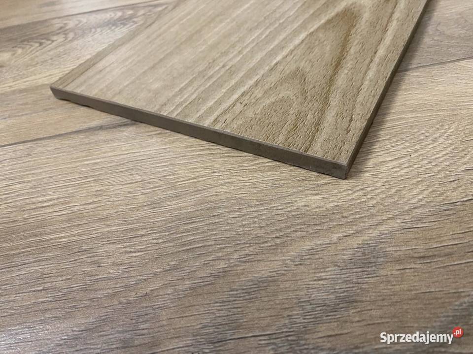 DREAMWOOD 20x120 gres drewnopodobny Płock