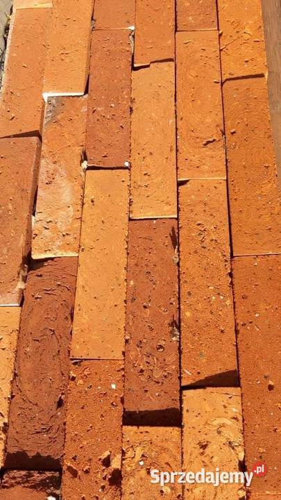 Płytki ze starej cegły Lica i Środki