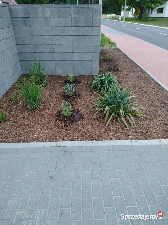 Ogród pielęgnacja budowa Komornica