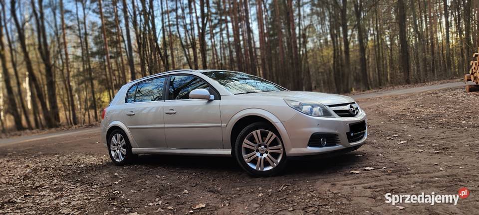 Opel Signum 18 LPG 125KM