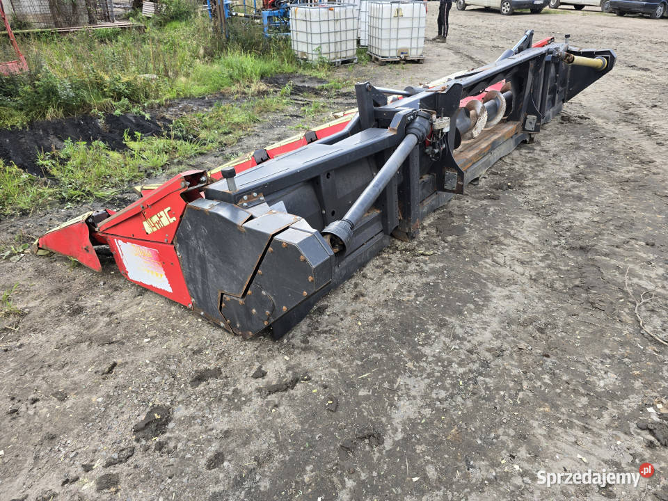 Przystawka do kukurydzy OLIMAC Drago 8 TR Claas Kuków