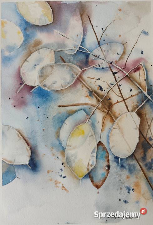 Akwarela Akwarelka Obraz pt Lunaria sprzedam