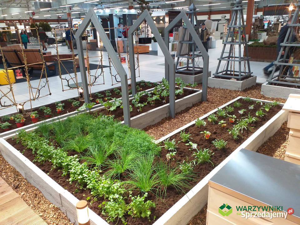 Rabata betonowa Skrzynie na warzywa Warzywnik Górno sprzedam