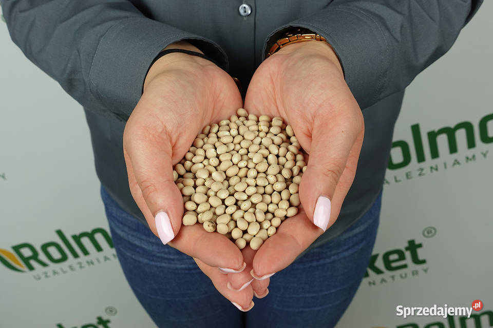 Nasiona Łubin Facelia Gorczyca Wyka Mieszanka Cieśle