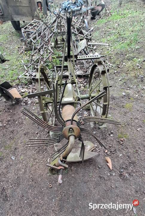 Kopaczka podkarpackie