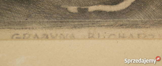 Agfaforta Grażyny Blicharz Pogórska Wola