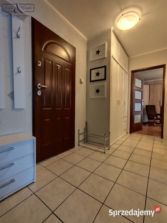 Do wynajęcia mieszkanie 5133m2 2 pok Gliwice Nieruchomości