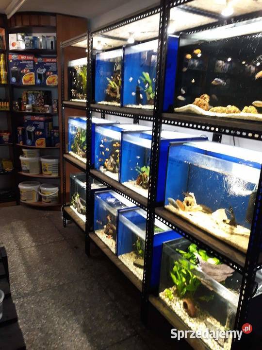 MOCNE Regały na AKWARIA PRODUCENT Kozienice
