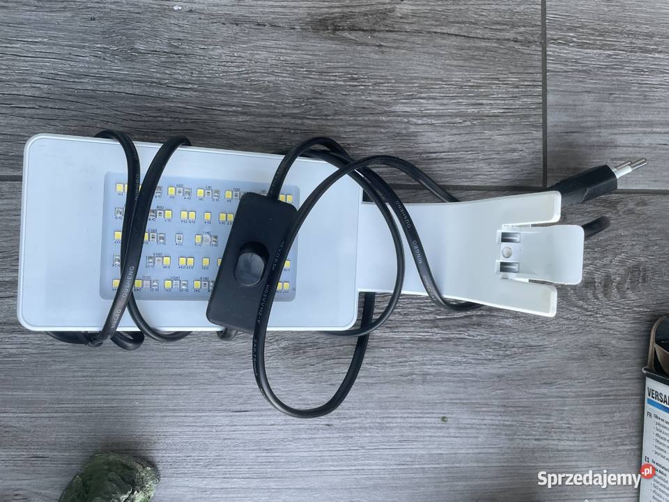 Akwarium 10l Gdańsk