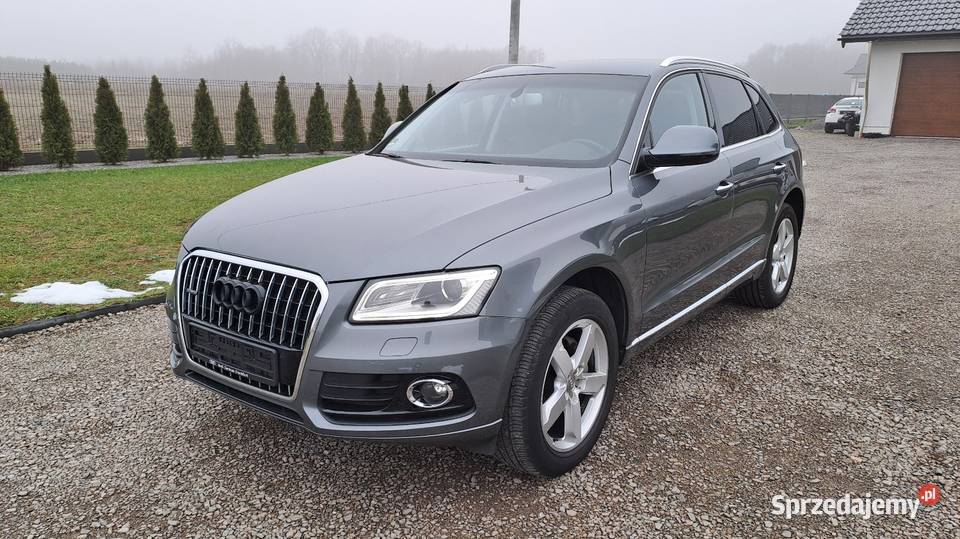 Audi Q5 20 Tdi 150 Quattro 2016r Dąbrowa Tarnowska