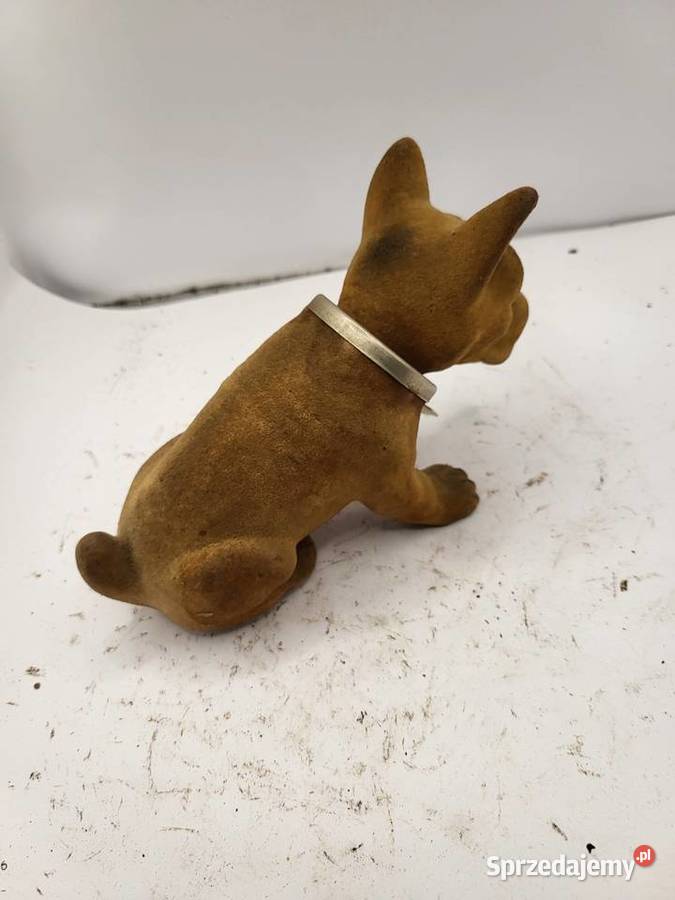 PIES BOXER PRL FIAT 125 126 MERCEDES VW GARBUS Rybnik