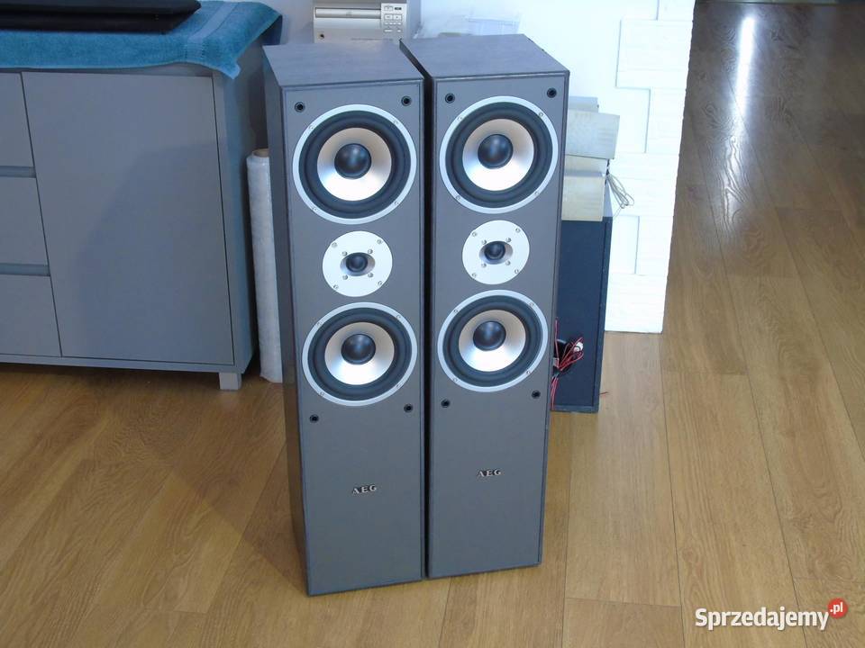 Mocne i ładne kolumny AEG 2 x 500 wat DOSTAWA Jasło
