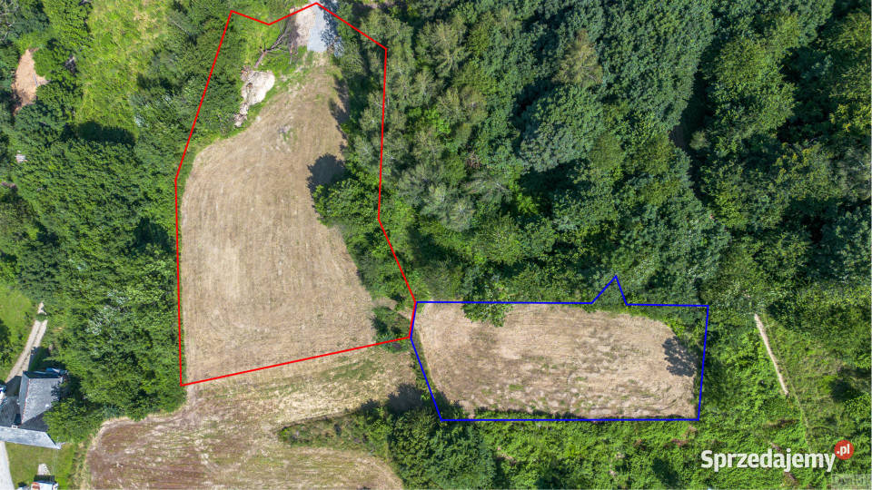 Sprzedam działka 3671m2 Żarnówka os Grapa Sprzedaż