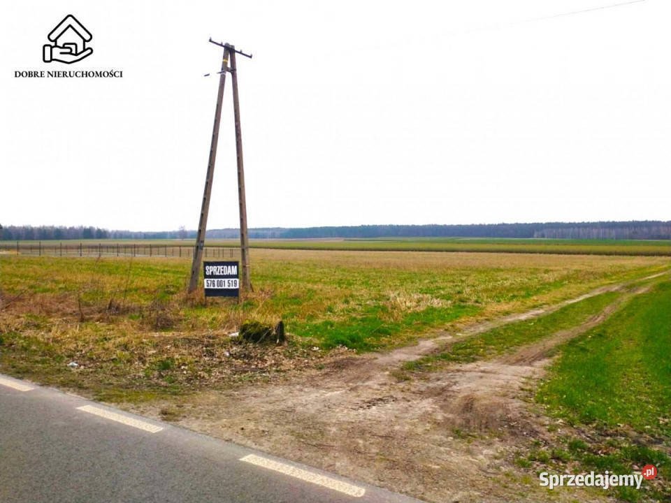 Ogłoszenie działka Zaborze 7683m2 gaz