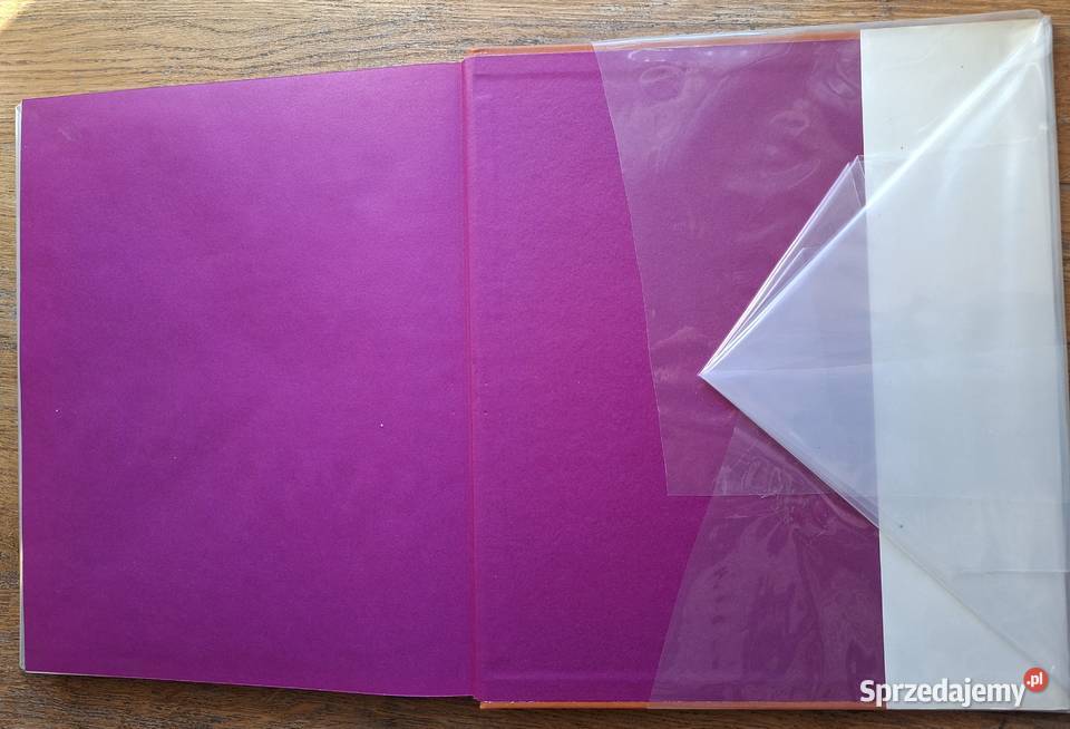 Witkacy Irena Jakimowicz Kraków