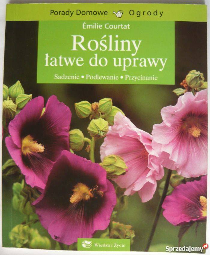 ROŚLINY ŁATWE DO UPRAWY COURTAT EMILIE Koszalin sprzedam