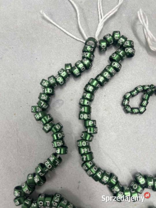 Obrączki drobnej egzotyki papug ptaków 2026 Maków Podhalański